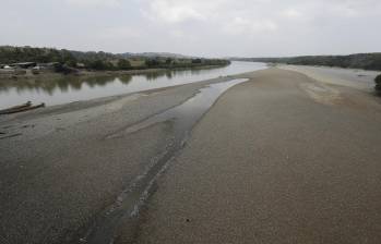 El cierre de compuertas en el proyecto de Hidroituango, en febrero pasado, generó bajo nivel de caudal del río Cauca y mortandad de peces. Foto: Manuel Saldarriaga Quintero