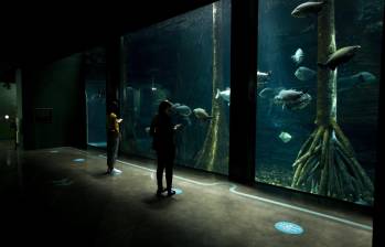 El Parque Explora es uno de los espacios de la cultura que ya puede visitar. Foto: Camilo Suárez
