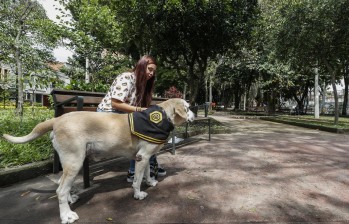Laura Espinosa pasea a su perro Titán por el parque de La Matea. El lugar cuenta con gimnasio al aire libre y es propicio para los partidos de fútbol y los mercados campesinos. FOTO Róbinson Sáenz