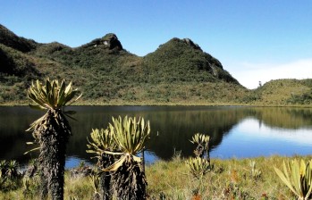 En los Farallones del Citará se encuentran lagunas, como esta en Andes. Las alcaldías y Corantioquia trabajan para vigilarlos y conservarlos. FOTO Cortesía Adolfo Correa - Corantioquia 