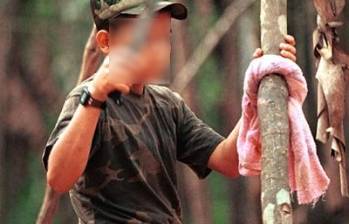 Según las denuncias conocidas por EL COLOMBIANO, algunos menores que fueron desvinculados de las Farc sin registro estarían en el Norte de Antioquia, Norte de Santander y Cauca. FOTO Archivo