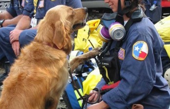 La perra tenía dos años cuando ella y su entrenadora, Denise Corliss, formaron parte de la Texas Task Force 1 (Fuerza Especial 1 de Texas). FOTO Reuters