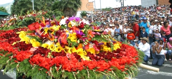 Jaime Pérez - Obras de arte, hechas de flores, son las creaciones de los silleteros de Santa Elena.