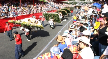 Henry Agudelo - Los silleteros trabajan durante un año para que el desfile salga perfecto.