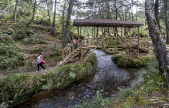 Caminar, en medio de la vegetación y el sonido de las aves y de arroyos cristalinos, es un atractivo para los visitantes del parque Arví, en especial para los extranjeros. FOTO Juan Antonio Sánchez
