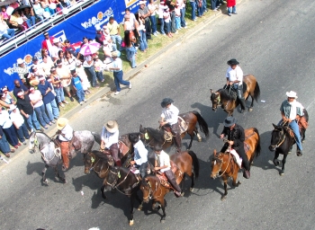 José Luis Chavarriaga - Las calles de Medellín se llenaron de caballos, rumba y sana convivencia.