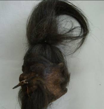 Con la cabeza también se recuperaron otros artefactos como fósiles de dientes de tiburón, entre otros. Foto: cortesía Ministerio de Cultura del Perú. 