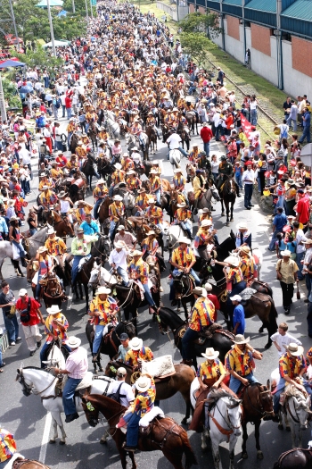 Henry Agudelo - Una imagen impactante que habla de los cientos de aficionados que tienen los caballos en Medellín.