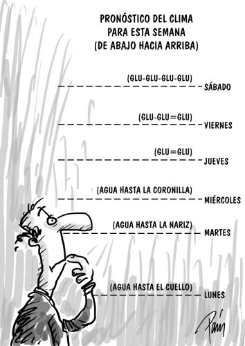 InfogrÃ¡fico