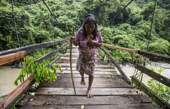 Las comunidades indígenas de la región de Urabá empiezan a obtener beneficios por cuidar el bosque y el recurso agua. FOTO jaime pérez