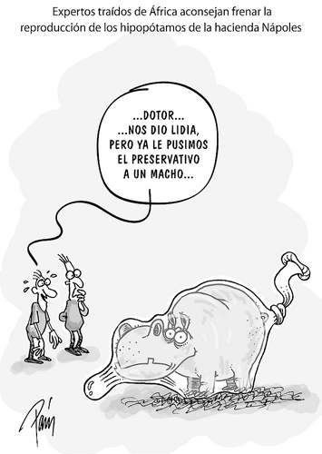 InfogrÃ¡fico