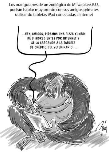 InfogrÃ¡fico