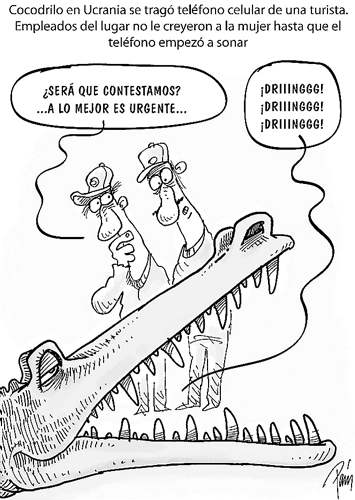 InfogrÃ¡fico
