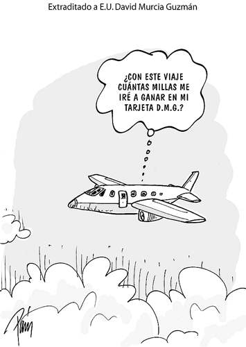 InfogrÃ¡fico