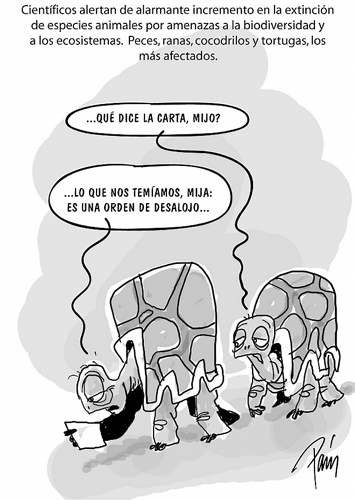 InfogrÃ¡fico