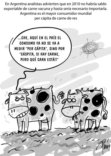 InfogrÃ¡fico