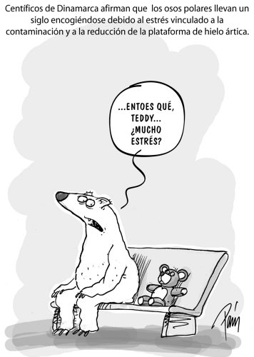 InfogrÃ¡fico