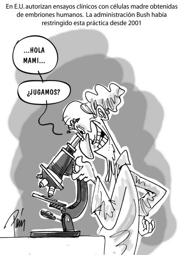 InfogrÃ¡fico