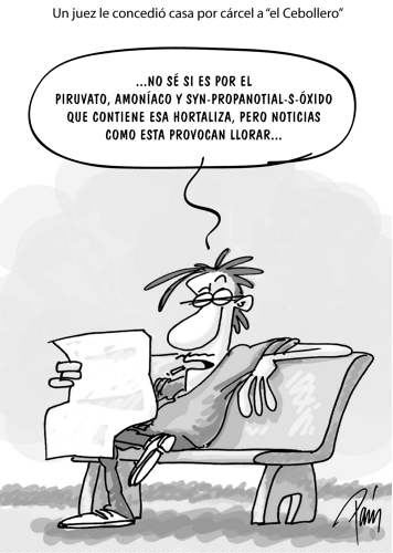 InfogrÃ¡fico