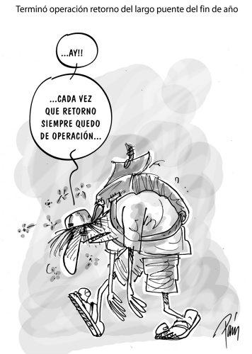 InfogrÃ¡fico