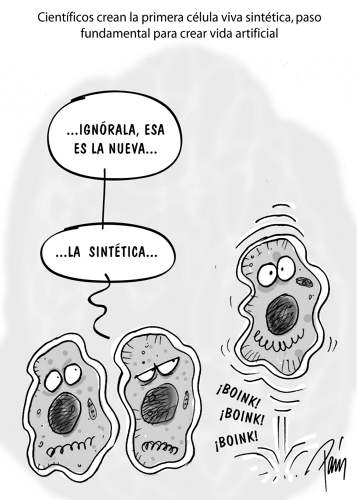 InfogrÃ¡fico