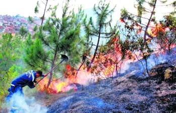 En el mes de junio, los organismos de socorro atendieron 154 incendios de ellos, 80 forestales. FOTO juan antonio sánchez