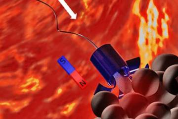 Espermatozoides contra el cáncer