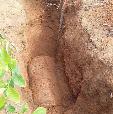Los explosivos son sembrados en las raíces de la planta. FOTO: COLPRENSA