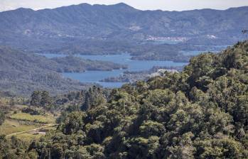 La cascada Matasanos, en el municipio de Concepción (foto), hace parte del Distrito regional de manejo integrado (DMI) San Pedro, declarado como área protegida en 2018. FOTO juan antonio sánchez