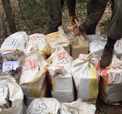 En una operación conjunta entre la Policía Nacional y la Fuerza Aérea se decomisó una tonelada de cocaína en el departamento de La Guajira, y 840 kilogramos de marihuana en Magdalena, luego del paso huracán Matthew. FOTO Colprensa 