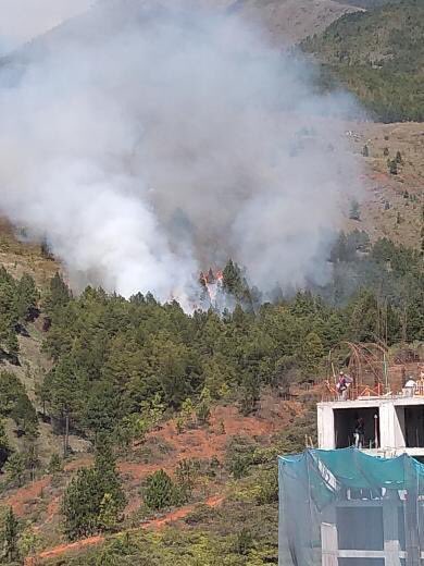 El incendio se originó en el sector de Telesillas. FOTO: Cortesía Bomberos de Bello. 
