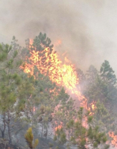 El incendio se da en el costado norte del cerro. FOTO Cortesía Bombertos Bello