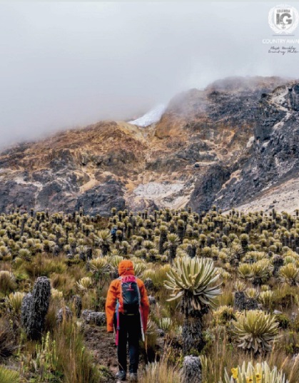 @Braybraywoowoo Nevado del Tolima