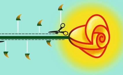 Unión en las diferencias