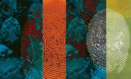 Desaparición y niños