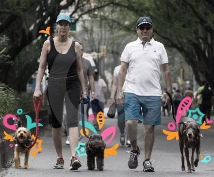 Con los humanos, los perros van a la ciclovía con espíritu deportivo. FOTO Jaime Pérez