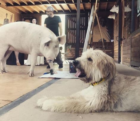 A veces, la artista pinta en el suelo del limpio espacio del albergue. FOTO @pigcassohoghero