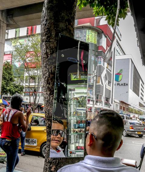 Árboles que son utilizados para las labores diarias