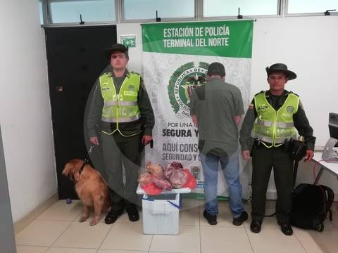 La persona capturada será judicializada por delitos ambientales. FOTO CORTESÍA