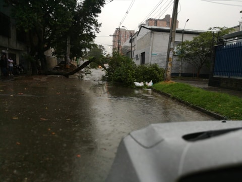 Lluvias del pasado lunes afectaron movilidad en Medellín