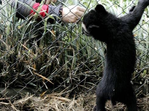 FOTO ÁREA METROPOLITANA