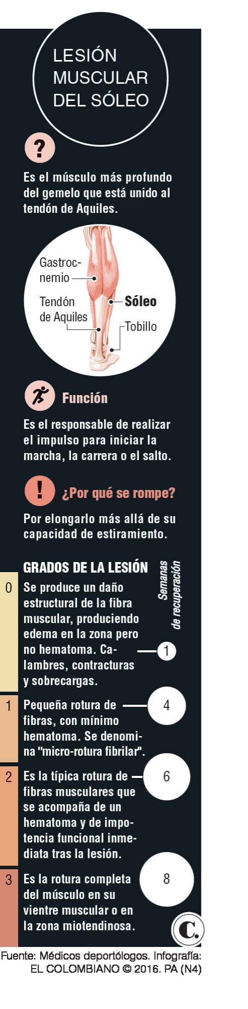 InfogrÃ¡fico