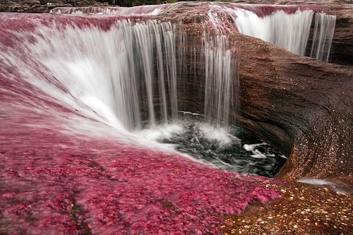 Caño Cristales se encuentra ubicado en la serranía de La Macarena, departamento del Meta. Según la Anla, esta zona no se verá afectada, ya que el bloque está a 68 kilómetros. FOTO Archivo