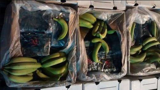 El clorhidrato de cocaína estaba camuflado al interior de una carga de bananos en Urabá. FOTO COLPRENSA