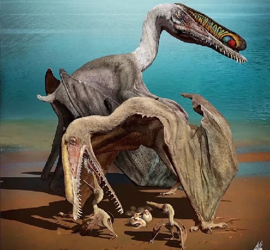 Dibujo de cómo debían ser los pterosaurios recién nacidos. Foto Zhao Chuang