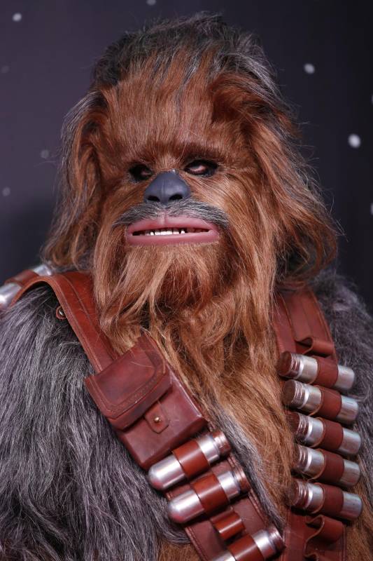 Chewbacca, el inseparable compañero de Han Solo. Foto Thomas Banneyer - Efe