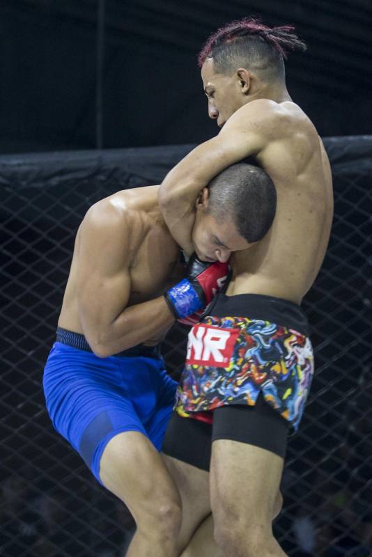 Los gimnasios incorporan las artes marciales mixtas por su disciplina. Foto: Santiago Mesa.