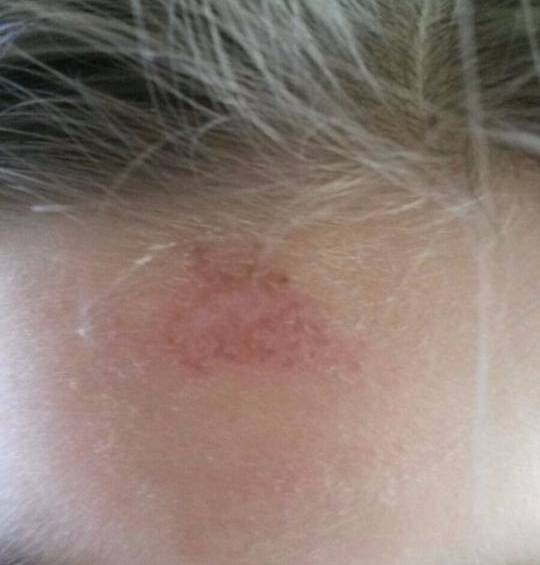 Fotos Cortesía Mi Oriente