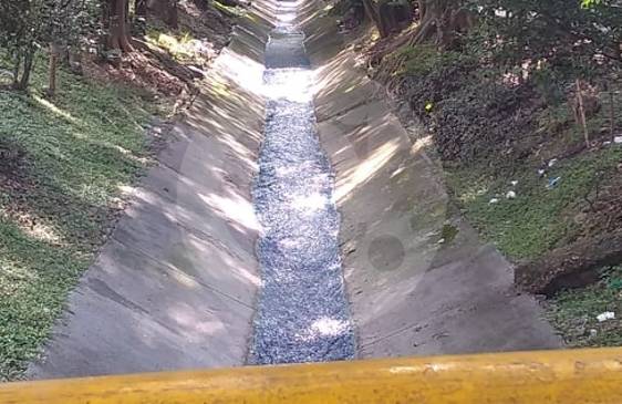 La quebrada se puso color azul y aún no hay una explicación del porqué. FOTO CORTESÍA GUARDIANES DE ANTIOQUIA