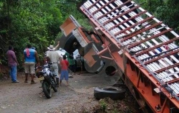 El volco del camión se salió de la vía y el ganado rodó por un abismo. FOTO CORTESÍA GUARDIANES DE ANTIOQUIA